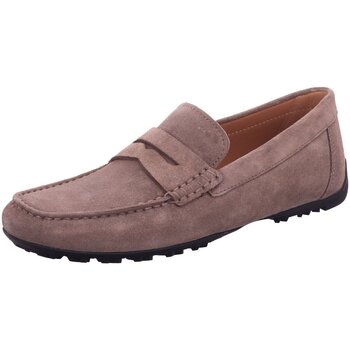 Geox Mocassins  -