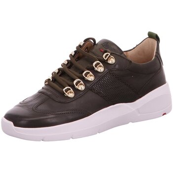 Lloyd Lage Sneakers  -