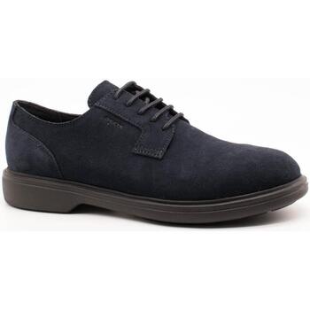 Geox Nette Schoenen  -