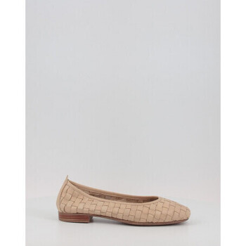 Carmela Ballerina's  16166201