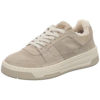 Apple of Eden Sneakers  -