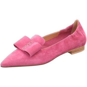 Donna Carolina Ballerina's  -