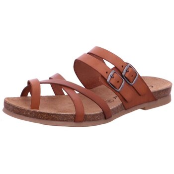 Cosmos Comfort Klompen  -