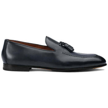 Doucal's Mocassins  -