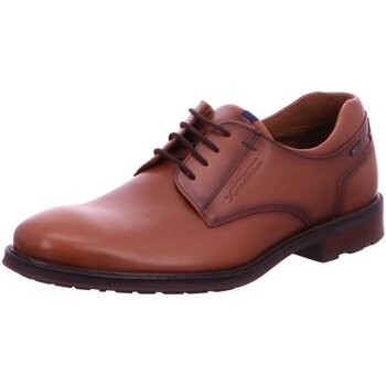Lloyd Nette Schoenen  -