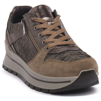IGI&Co Sneakers IgI&CO ANIKA BRONZO