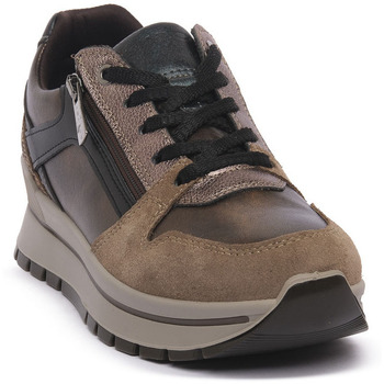 IGI&Co Sneakers IgI&CO ANIKA RAME