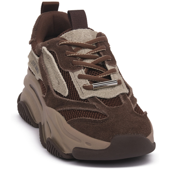 Steve Madden Sneakers  GND POSSESSION COFFEE