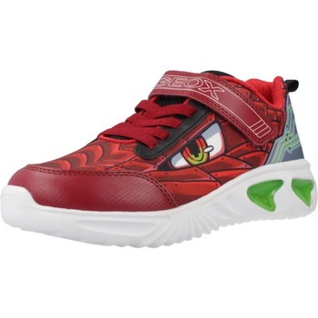 Geox Sneakers  J ASSISTER BOY