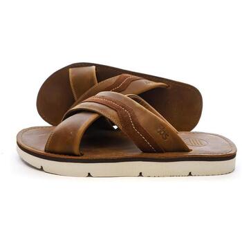TBS Slippers  -