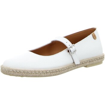 Verbenas Ballerina's  -