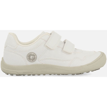 Gioseppo Sneakers  GARDONY
