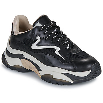 Ash Lage Sneakers  ADDICT