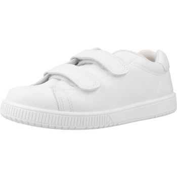 Titanitos Lage Sneakers  NEW CRONOS