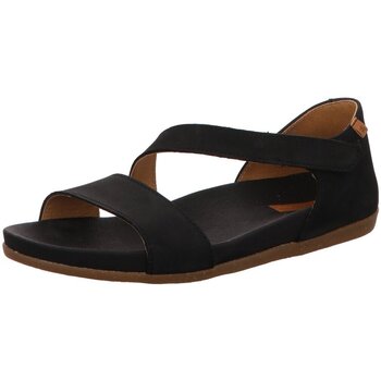El Naturalista Sandalen  -
