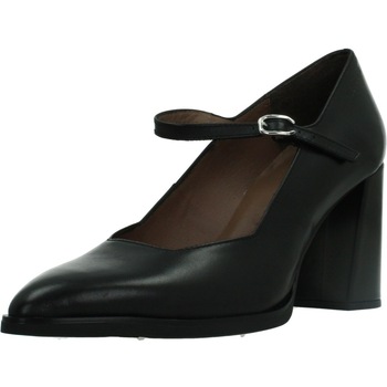Wonders Pumps  ISEO