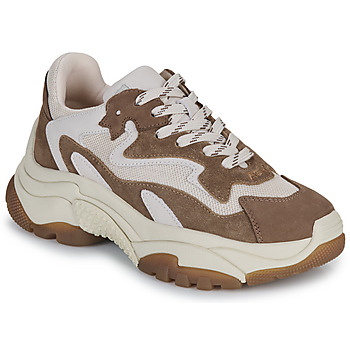 Ash Lage Sneakers  ADDICT