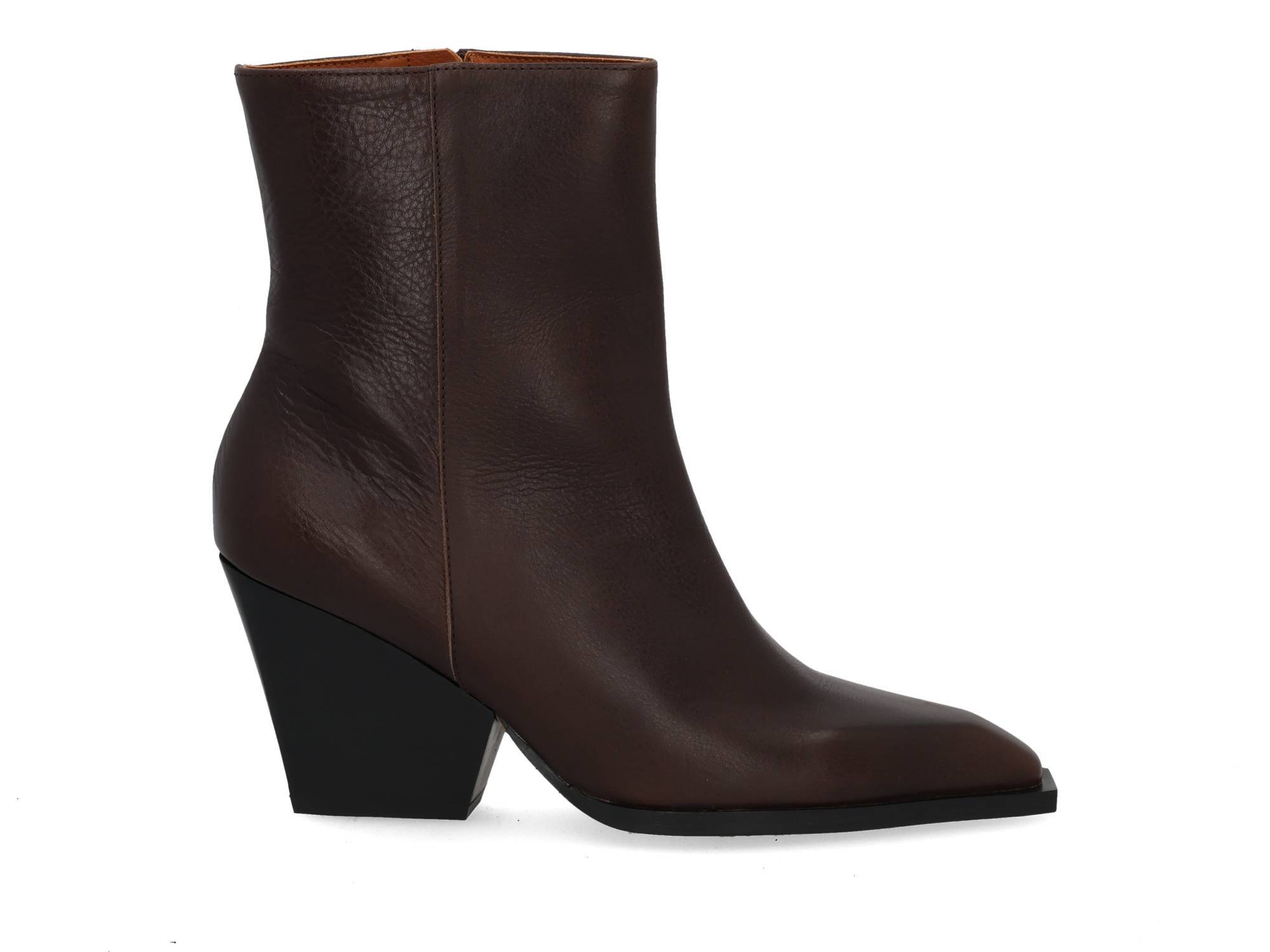 Angel Alarco 25605 testa moro Bruin 