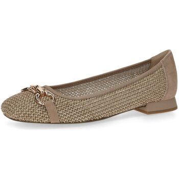 Caprice Ballerina's  -
