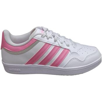 Adidas Lage Sneakers  hoops