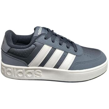 Adidas Lage Sneakers  rapid court