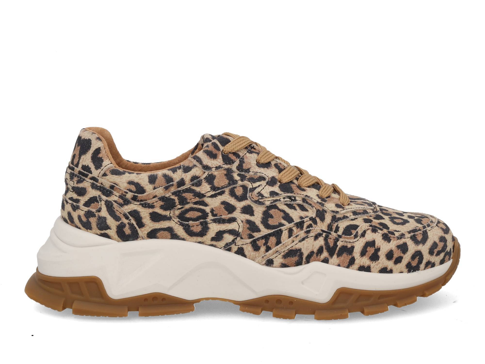 DWRS label Chester Leopard 8808 cognac multi bruin 