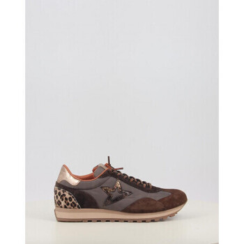 Cetti Lage Sneakers  1259