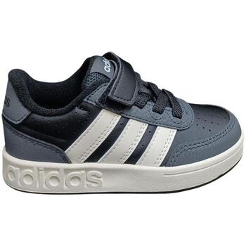 Adidas Lage Sneakers  rapid court