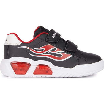 Geox Lage Sneakers  -