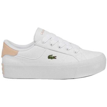 Lacoste Lage Sneakers  -