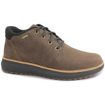 Timberland Laarzen  TIM-CCC-A6A8N-DB