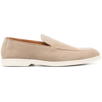 Doucal's Mocassins  -