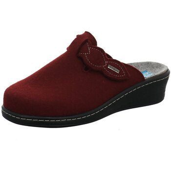 Fidelio Pantoffels  -
