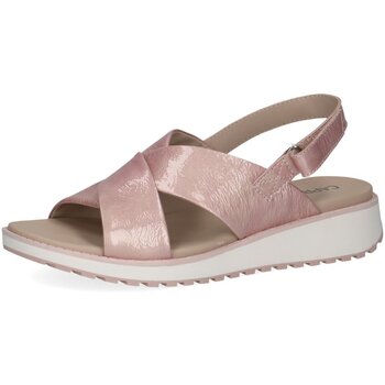 Caprice Sandalen  -