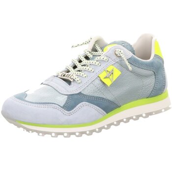 Cetti Sneakers  -