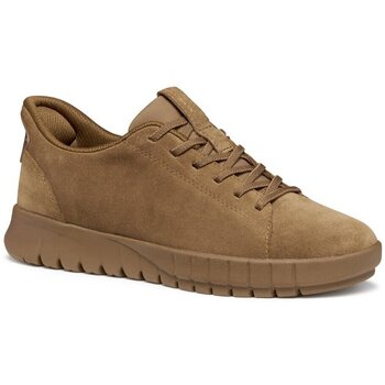 Geox Lage Sneakers  -