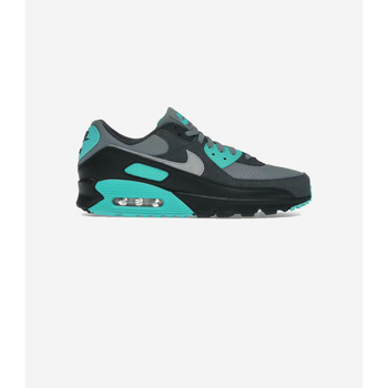 Nike Lage Sneakers  Air Max 90 Cool Grey Dusty Cactus Black Wolf Grey