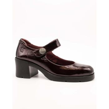 24 Hrs Mocassins  -