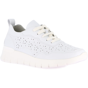 Grunland Lage Sneakers  DSG-SC0196