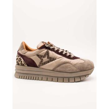 Cetti Lage Sneakers  -