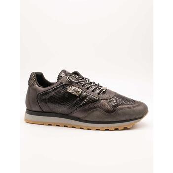 Cetti Lage Sneakers  -