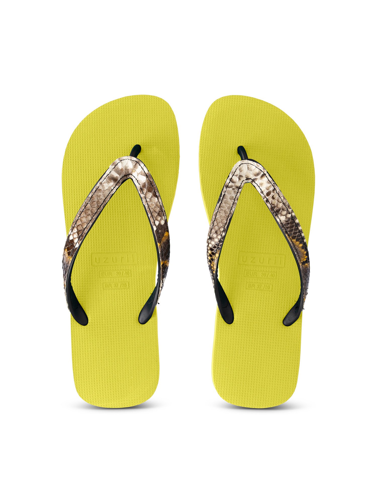 Uzurii Python taupe -