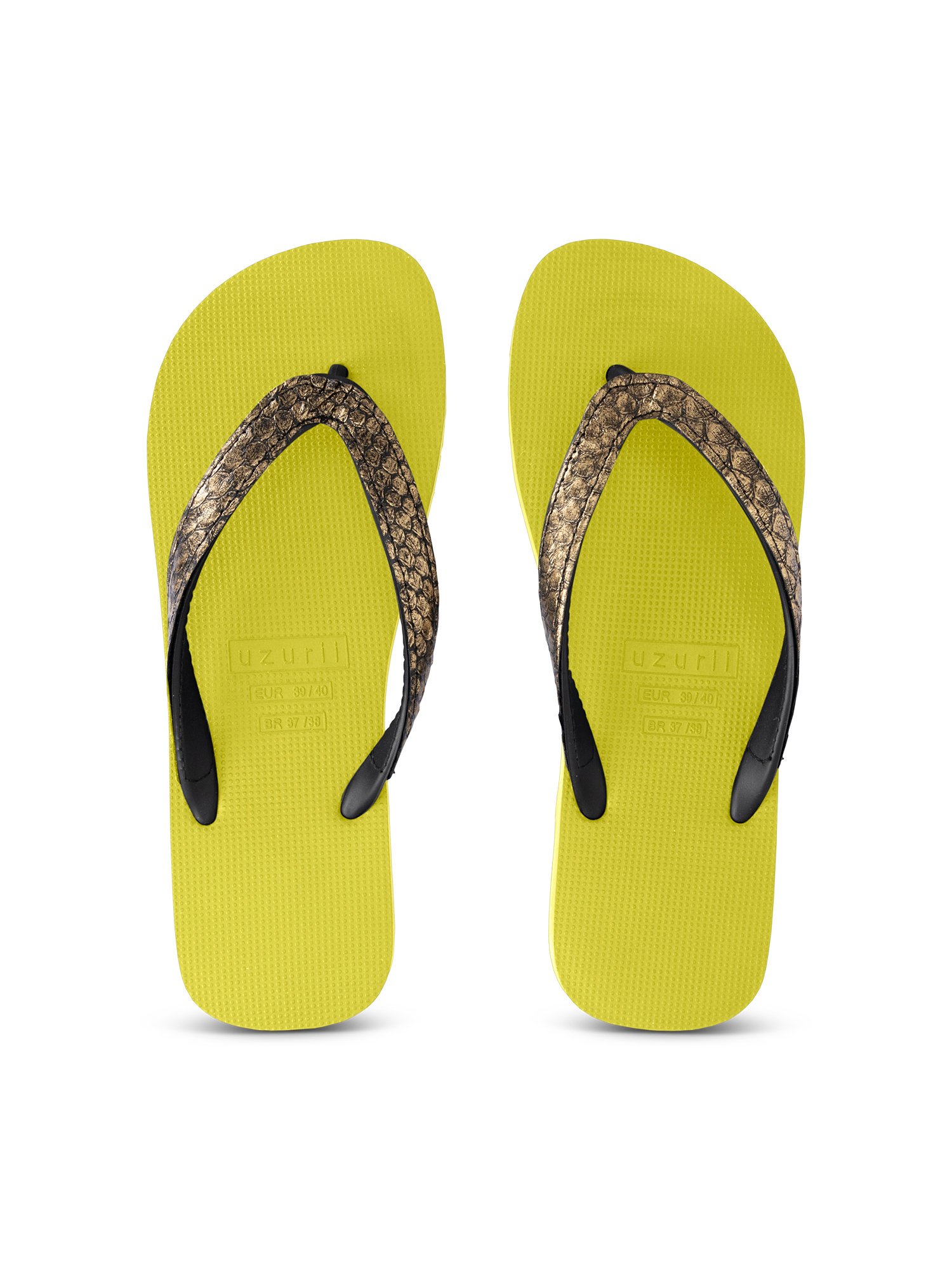 Uzurii Python bronze -