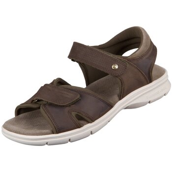 Panama Jack Sandalen  -