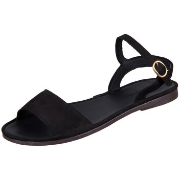 El Naturalista Sandalen  -