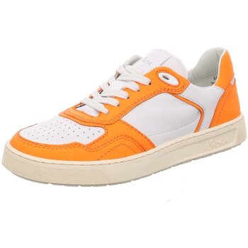Sioux Sneakers  -