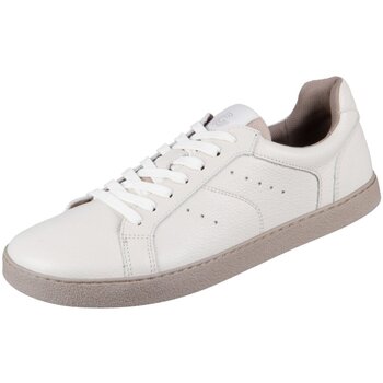 Groundies Lage Sneakers  -