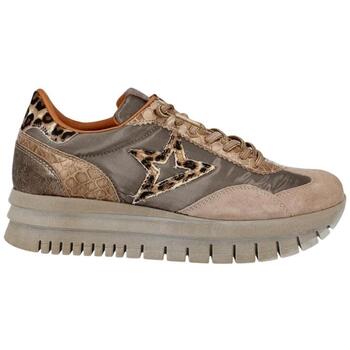 Cetti Lage Sneakers  -