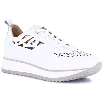 Grunland Lage Sneakers  DSG-SC2164