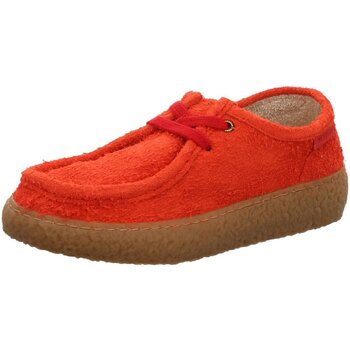 Verbenas Mocassins  -